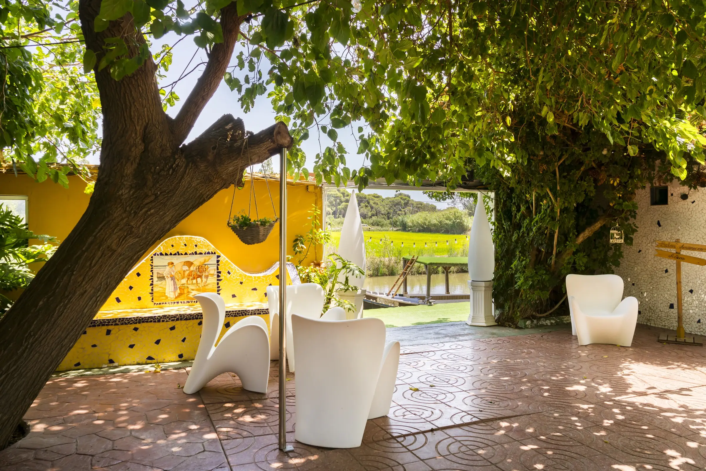 Un patio bajo un árbol grande, con sillones blancos, un muro amarillo con azulejos y, por una abertura, los campos de arroz